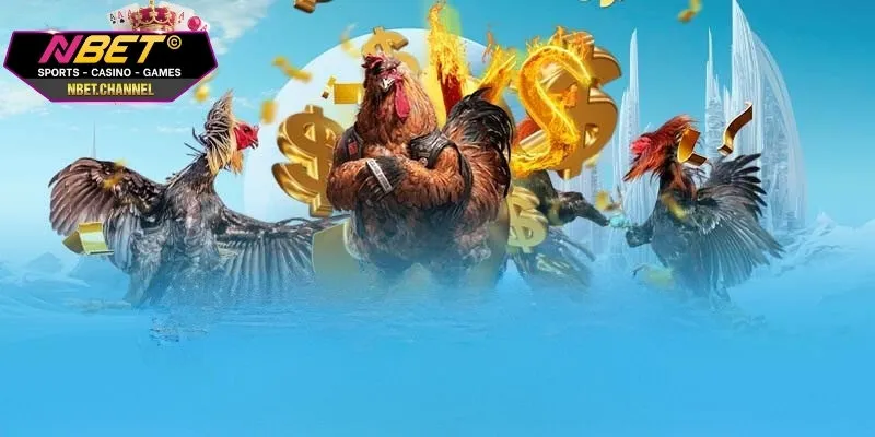 Đá Gà Cựa Dao Kịch Tính Với Hàng Nghìn Trận Đấu Cùng NBET 3 cửa cược trong đấu gà cựa dao được người chơi mê mẩn