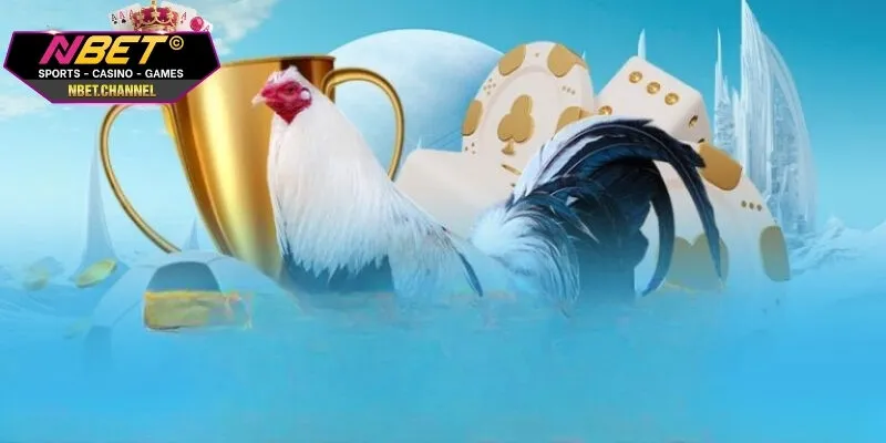 Đá Gà Cựa Sắt NBET - Trận Đấu Kịch Tính Và Đầy Kịch Tính Giải mã khái niệm đá gà cựa sắt