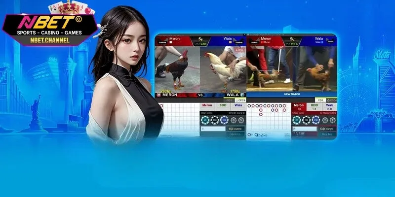 Đá gà NBET Các thể loại đá gà vô cùng thú vị mà nền tảng mang lại cho bạn
