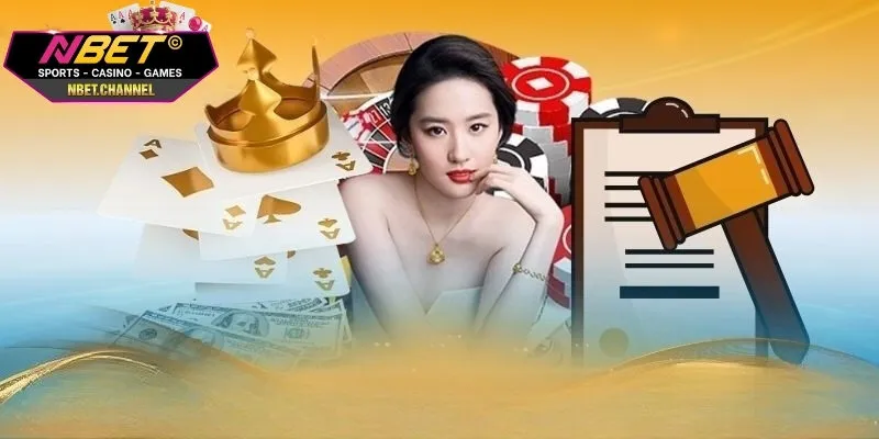 Điều Khoản Sử Dụng điều khoản sử dụng NBET là gì?